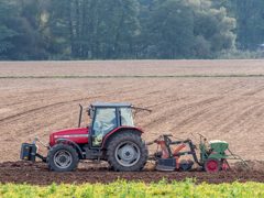 Six-row precision seeder